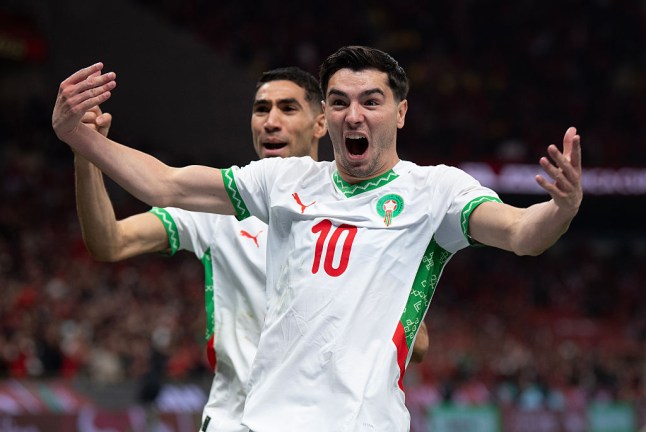 Cameroon v Morocco: Quarter-final - Africa Cup Of Nations