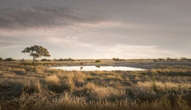 Condé Nast Traveler