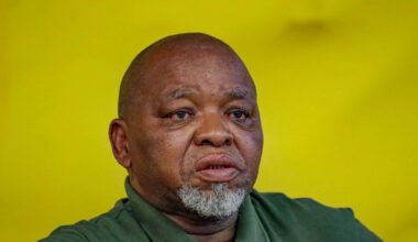 Mantashe unemployment ANC government BEE