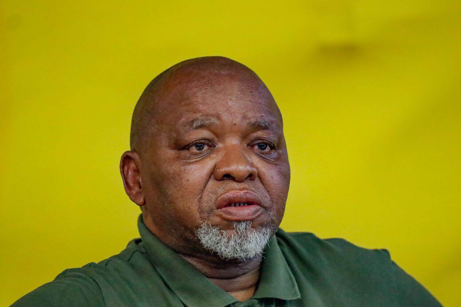 Mantashe unemployment ANC government BEE