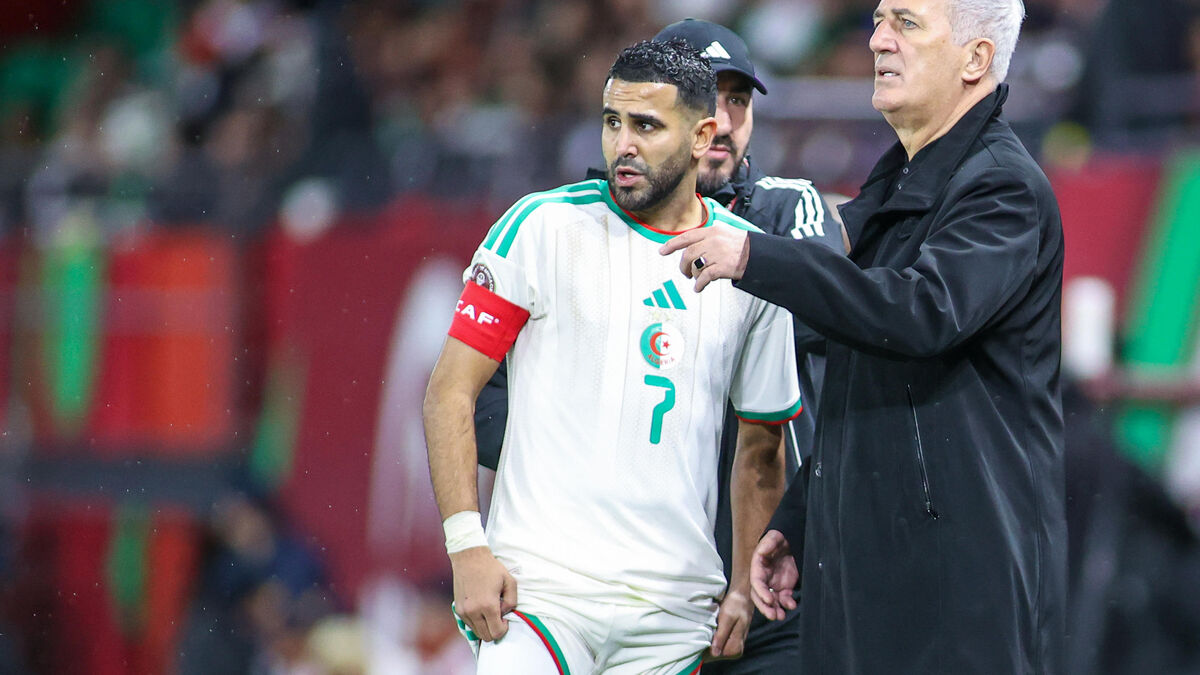 Algérie - RD Congo : les compositions probables du choc des 8es de finale de la CAN avec Mahrez et Maza titulaires