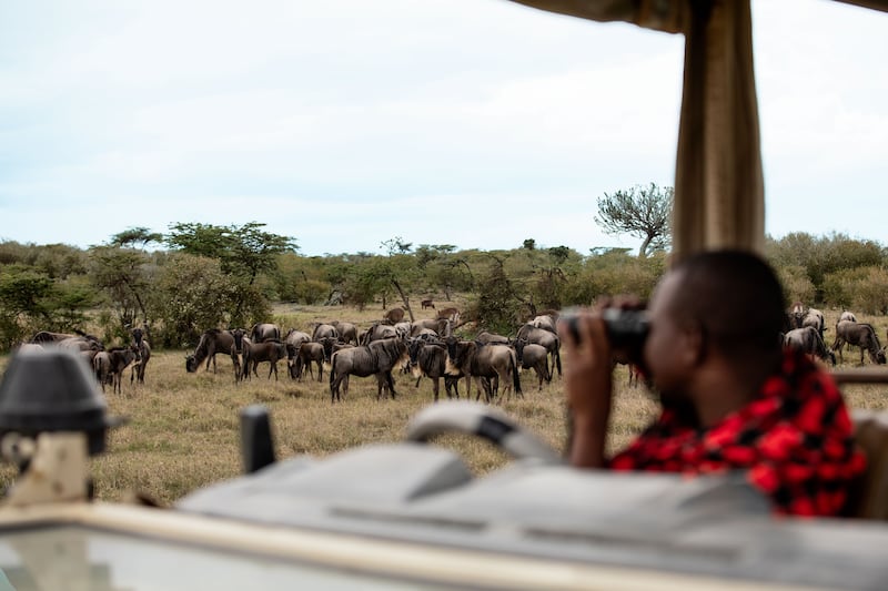 A game drive at Mahali Mzuri, Kenya