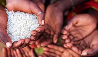 Hunger is the nexus of so many of South Africa’s social problems, with an incalculable social, economic and political cost. (Photo: observances.global / Wikipedia)