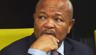 Is Ramaphosa protecting Mchunu by excluding him from Madlanga investigation list?