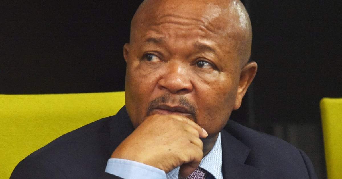 Is Ramaphosa protecting Mchunu by excluding him from Madlanga investigation list?