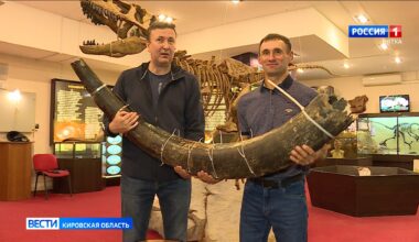 Des trilobites issus du Maroc entrent dans les collections du musée paléontologique russe de Viatka