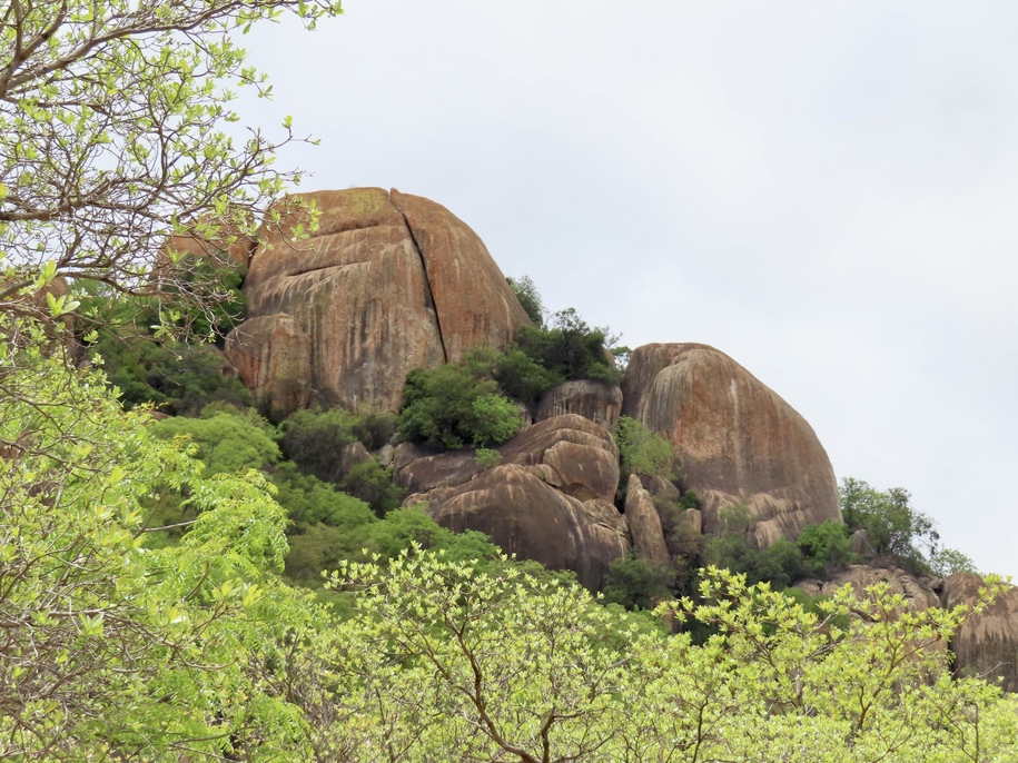 The Daily Bucket: Matobo National Park, Zimbabwe