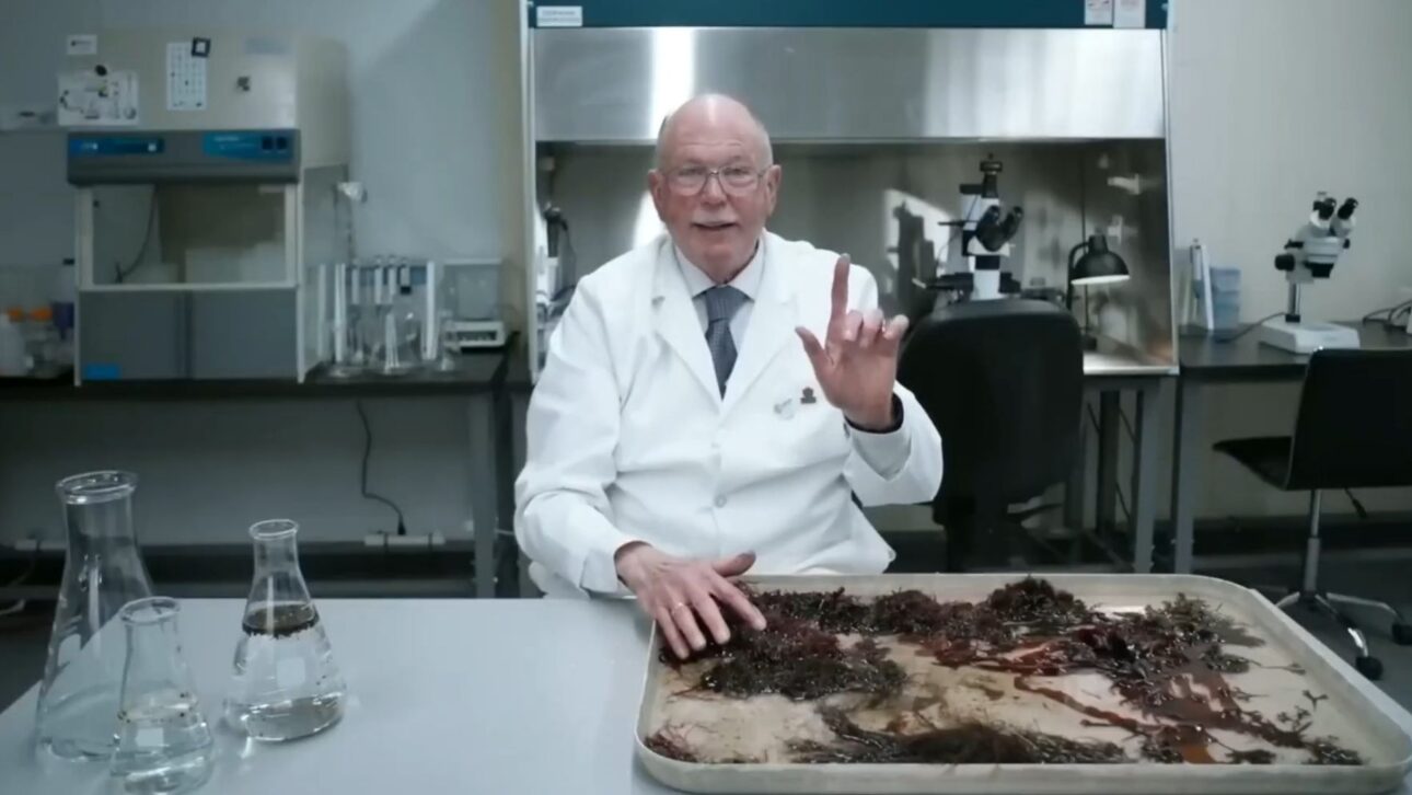 Namíbia testa uso de algas marinhas para recuperar solos do deserto, ampliar produção agrícola e reduzir dependência de insumos importados.