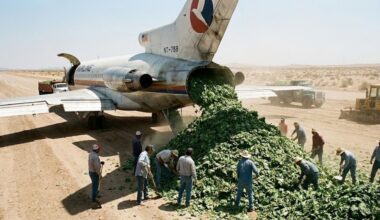 Namibia is testing the use of seaweed to restore desert soils, increase agricultural production, and reduce dependence on imported inputs.