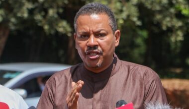 Amnesty Kenya boss Irungu Houghton resigns from Ruto's protest victims compensation panel