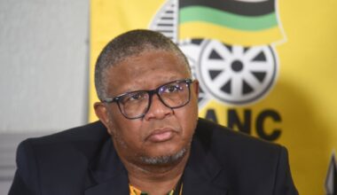 Mbalula calls for end to experience requirements for entry-level jobs