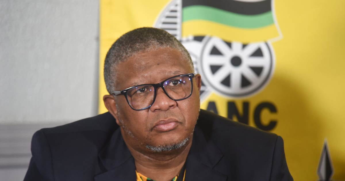 Mbalula calls for end to experience requirements for entry-level jobs