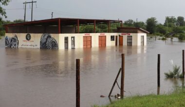 South Africa declares national disaster as floods batter region, impacting 173,000 in Mozambique