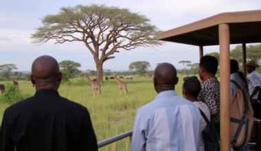 Kenya Wildlife Service Sees Three Hundred Thousand Visitors During New Festive Season, Targeting Five Million Annual Visitors by 2028