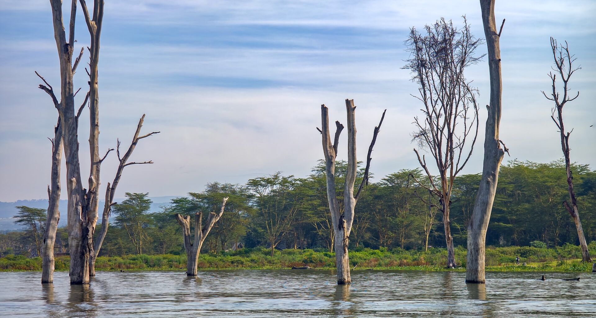 Kenya's lake levels are rising at historic rates, threatening local communities with potential displacement.