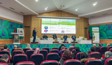 Lancement d’un centre technique des cultures oléagineuses – Aujourd'hui le Maroc