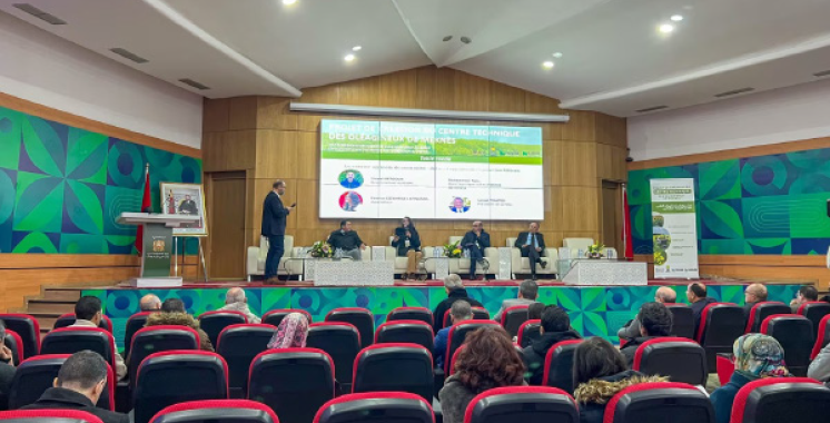 Lancement d’un centre technique des cultures oléagineuses – Aujourd'hui le Maroc