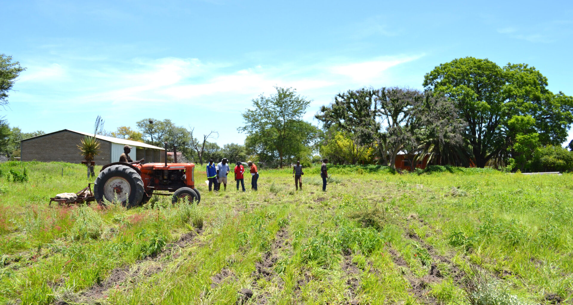 Willing buyer, willing seller days ‘numbered’ – New Era