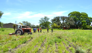 Willing buyer, willing seller days ‘numbered’ – New Era