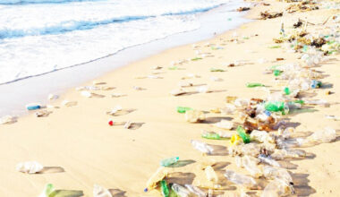 Erongo beach littering could lead to N$500 000 fine or 25-year jail term for illegal dumping - National