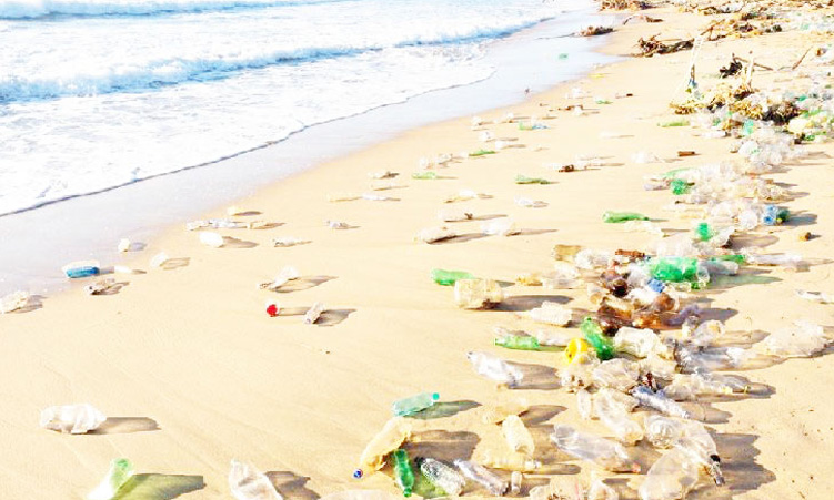 Erongo beach littering could lead to N$500 000 fine or 25-year jail term for illegal dumping - National