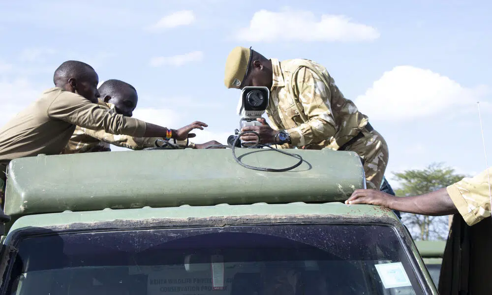 Kenya curbs poaching in its protected areas with technology: how the plan that saves rhinos works