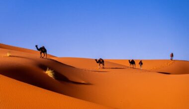 Pourquoi les pluies viennent d'augmenter de 95 % au Maroc ?