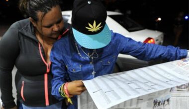 Matric Results: Regulator’s decision to appeal publication 'should be respected' - Expert