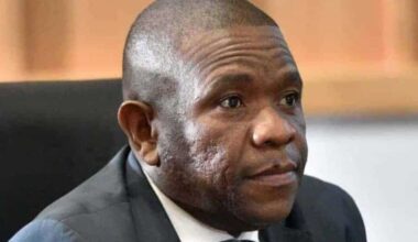 Madlanga Commission still has at least two more phases to go.