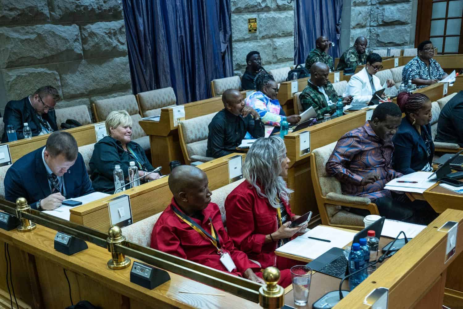 Parliament ad hoc committee Mkhwanazi