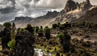 Mystery of tour guide who disappeared in Mt Kenya hiking expedition