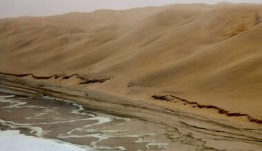 Sedona Gem and Mineral Club Opens 2026 With Namibia Mineral Safari Program