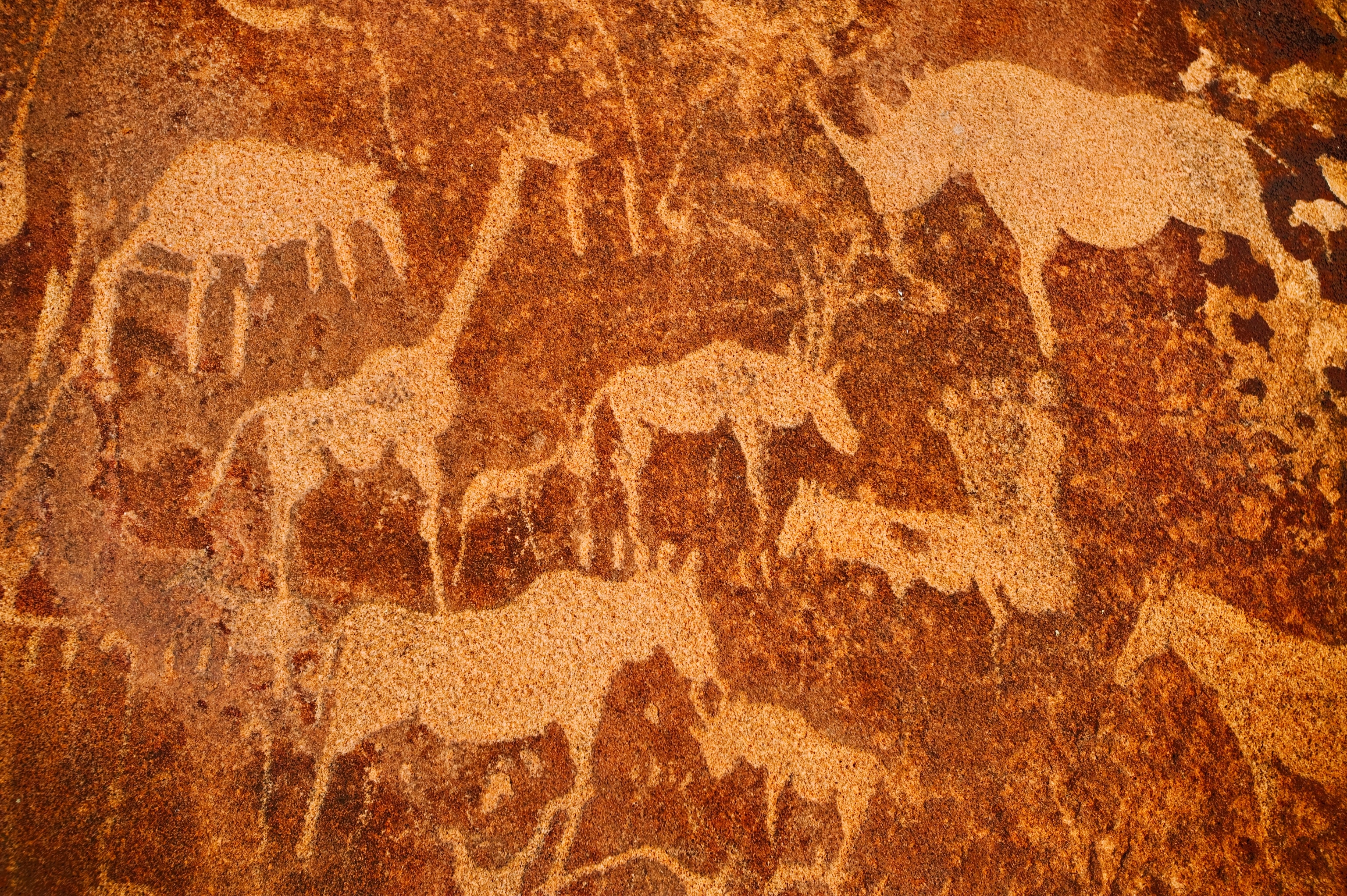 Rock engravings of various different animals and a foot print