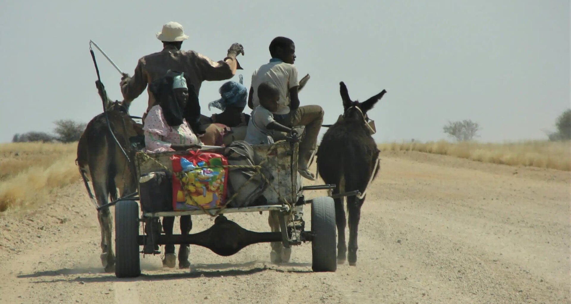 How Netumbo Nandi-Ndaitwah Plans to Drive Job Creation