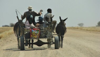 How Netumbo Nandi-Ndaitwah Plans to Drive Job Creation