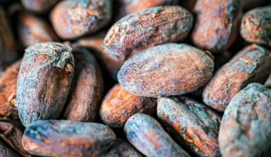 Honey from Brazilian bees used as solvent for cocoa compounds