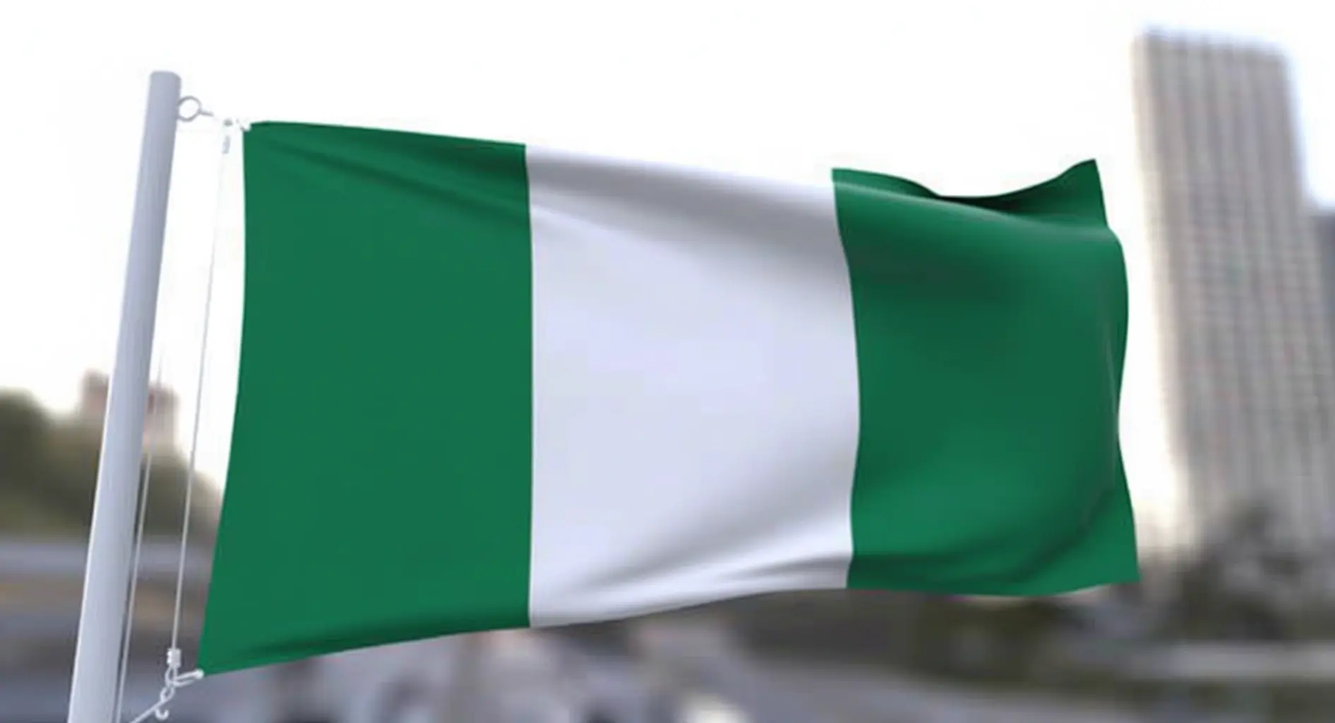 Nigerian Flag