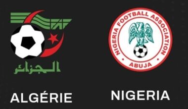 Coupe d’Afrique des Nations. Nigeria 2-Algérie 0: fin de l’aventure pour les Fennecs