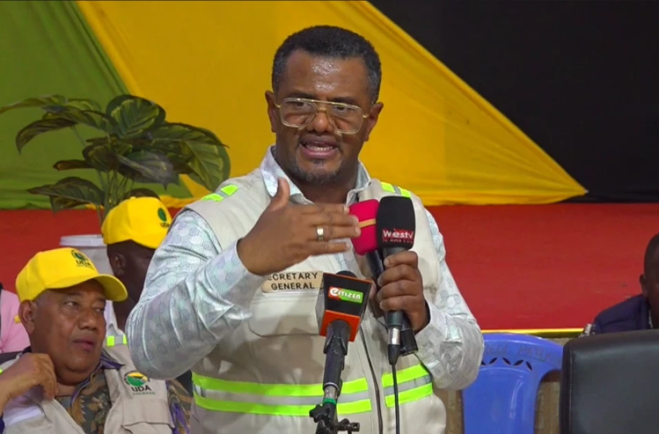 UDA grassroots elections draw over 310,000 candidates, 3 million members expected to vote