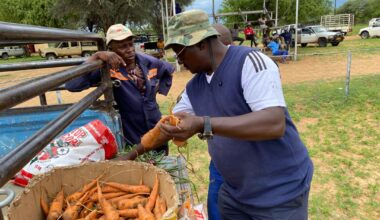 Ovambanderu garden blooms 