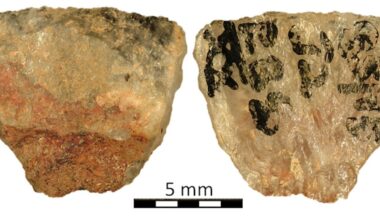 World's oldest poison-tipped arrow discovered in South Africa