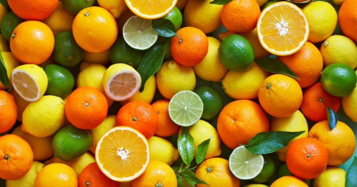 Une hausse modérée de la production d’agrumes pour 2025-2026