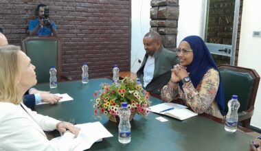 EU Ambassador met with HE Teyiba Hassen