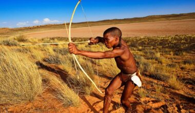 Hunting with poison arrows may have begun 60,000 years ago in Africa