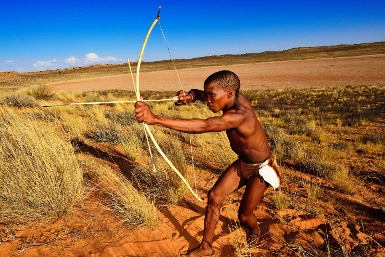 Hunting with poison arrows may have begun 60,000 years ago in Africa