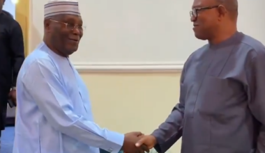 Atiku hosts Peter Obi in Adamawa