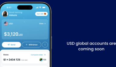 Africa Fintech NALA Debuts Stablecoin-Backed USD Global Accounts