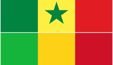 Sénégal - Egypte. Les prédictions d'Opta