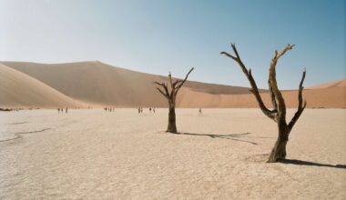 Namibia Has Some of Africa's Best Landscapes and Lodges