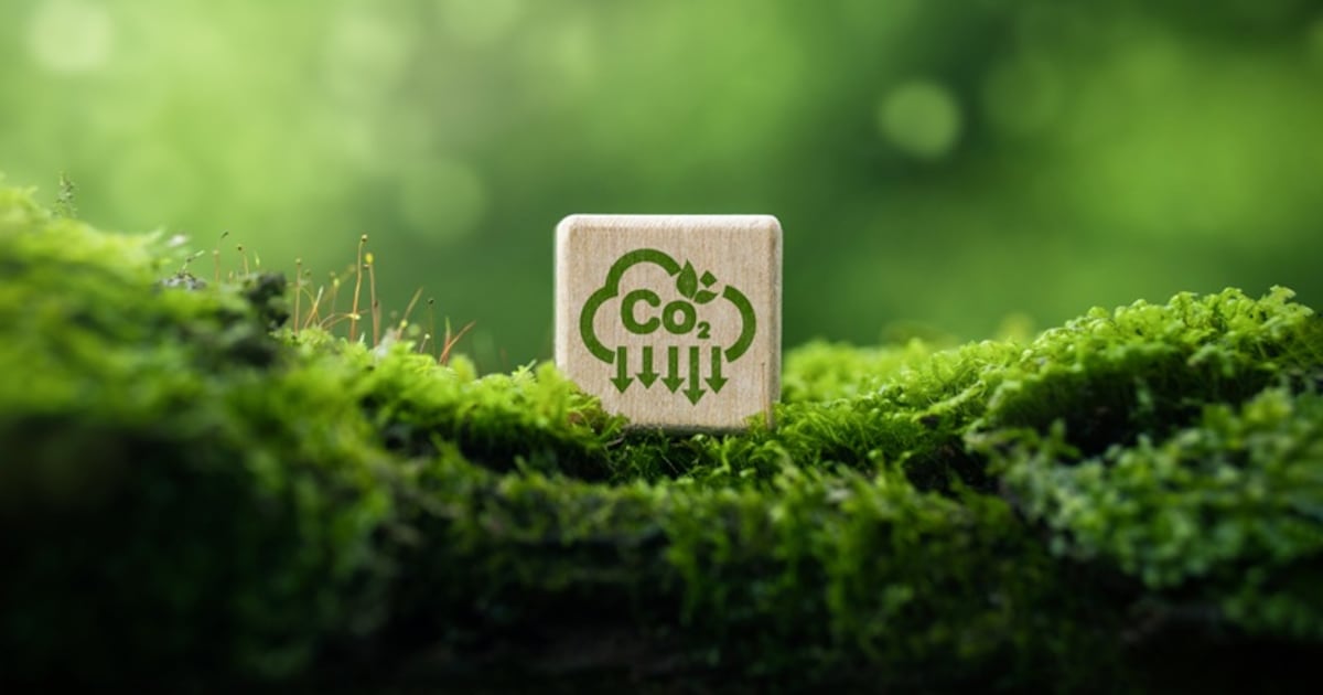 Microsoft continues ESG strategy, invests in carbon removal project in Uganda